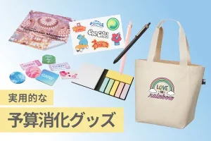実用的な 予算解消グッズ